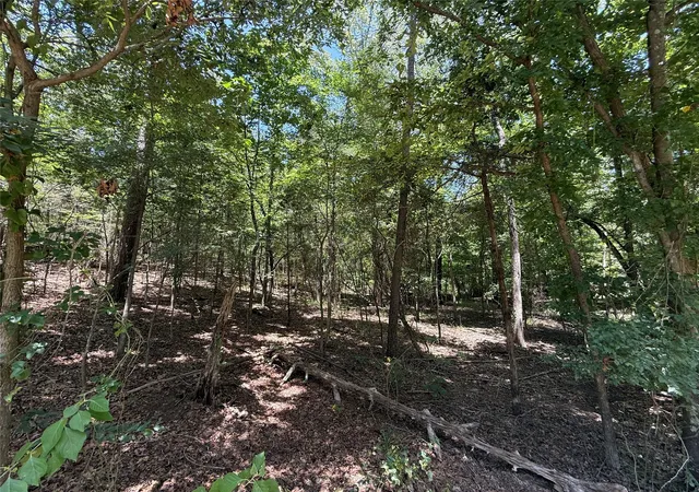 Photo 3 of Land for sale at Tbd Whispering Pine Trail, Mount Vernon, TX 75457 | MLS# 21341850 | Listing updated on 2026-07-27