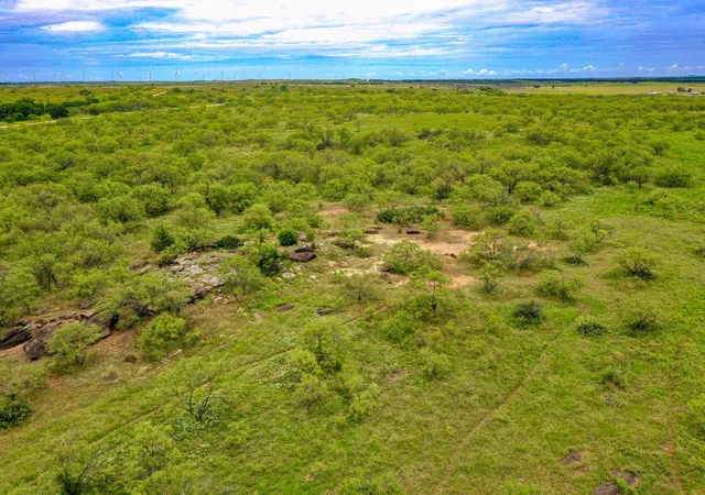 Photo 3 of Land for sale at Tbd Fm 175, Jacksboro, TX 76365 | MLS# 21341843 | Listing updated on 2026-08-21