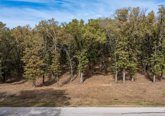 Photo 3 of Land for sale at 8375 Southern Shore Ct, Kemp, TX 75143 | MLS# 21341215 | Listing updated on 2026-07-27