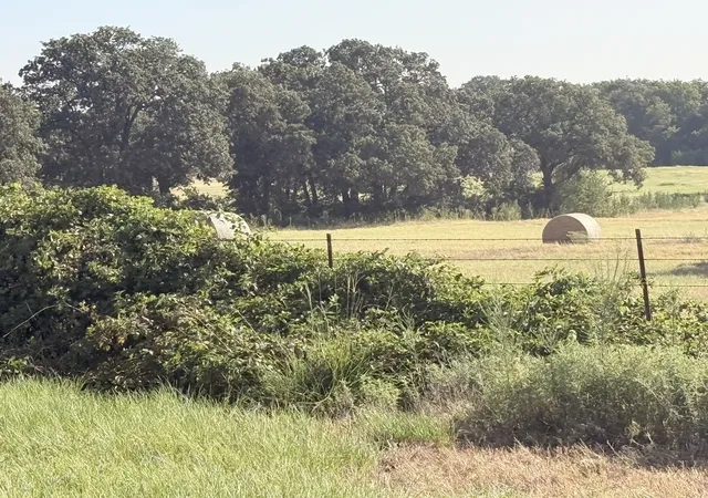 Photo 2 of Land for sale at Tbd Tract 3 County Road 2121, Gainesville, TX 76240 | MLS# 21340543 | Listing updated on 2026-08-26