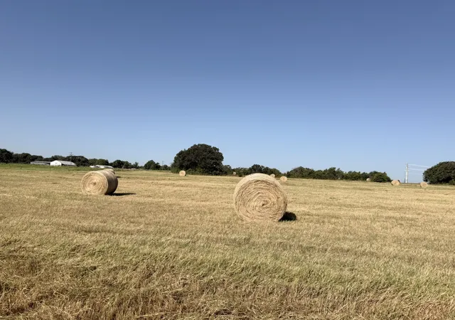Photo 3 of Land for sale at Tbd Tract 3 County Road 2121, Gainesville, TX 76240 | MLS# 21340543 | Listing updated on 2026-08-26