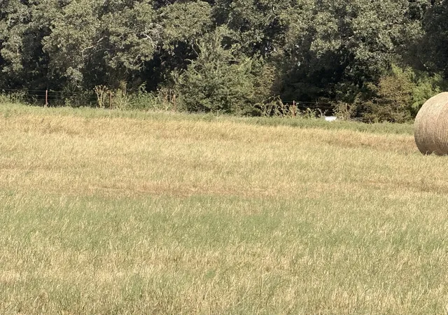 Photo 3 of Land for sale at Tbd Tract 3 County Road 2121, Gainesville, TX 76240 | MLS# 21340543 | Listing updated on 2026-08-26