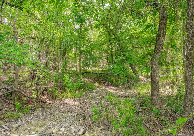 Photo 4 of House for sale at 2401 County Road 382, Carlton, TX 76436 | MLS# 21341176 | Listing updated on 2026-08-28