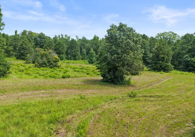 Photo 1 of Land for sale at 1381 County Road 1763, Linden, TX 75563 | MLS# 21342346 | Listing updated on 2026-10-05