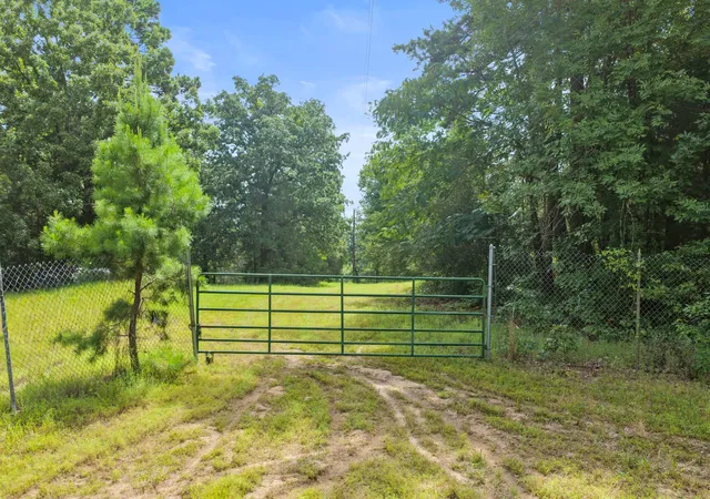 Photo 3 of Land for sale at 1381 County Road 1763, Linden, TX 75563 | MLS# 21342346 | Listing updated on 2026-10-05