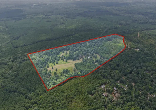 Photo 3 of Land for sale at 1381 County Road 1763, Linden, TX 75563 | MLS# 21342346 | Listing updated on 2026-10-05