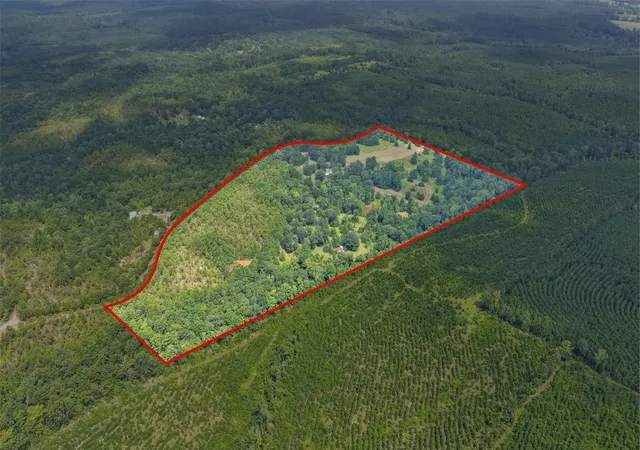 Photo 4 of Land for sale at 1381 County Road 1763, Linden, TX 75563 | MLS# 21342346 | Listing updated on 2026-10-05