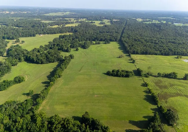 Photo 2 of Land for sale at Tbd Sw County Road 3250, Winnsboro, TX 75494 | MLS# 21342516 | Listing updated on 2026-07-28
