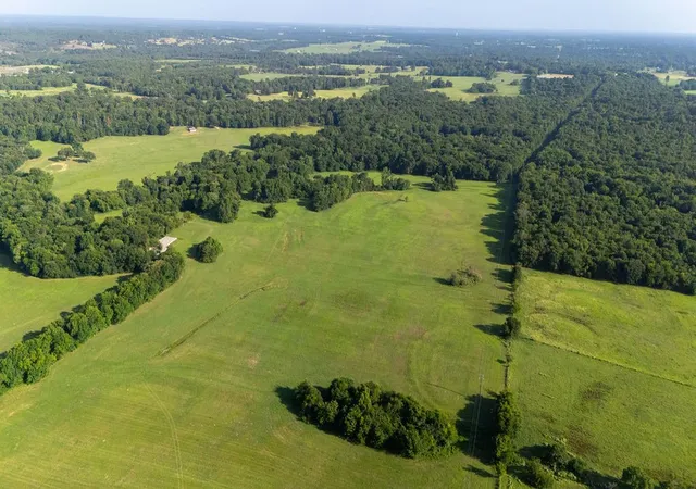 Photo 3 of Land for sale at Tbd Sw County Road 3250, Winnsboro, TX 75494 | MLS# 21342516 | Listing updated on 2026-07-28
