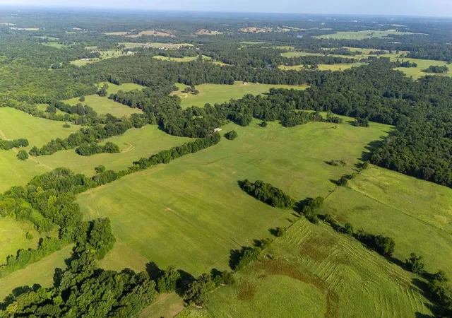 Photo 3 of Land for sale at Tbd Sw County Road 3250, Winnsboro, TX 75494 | MLS# 21342516 | Listing updated on 2026-07-28