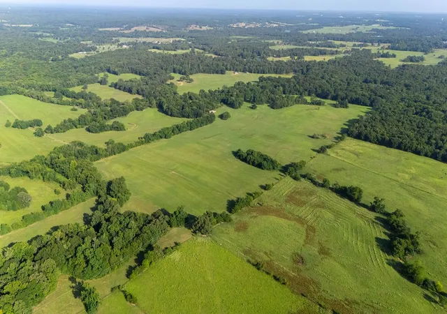 Photo 4 of Land for sale at Tbd Sw County Road 3250, Winnsboro, TX 75494 | MLS# 21342516 | Listing updated on 2026-07-28