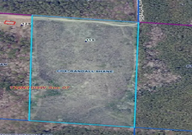 Photo 2 of Land for sale at 0 Tbd, Shongaloo, LA 71072 | MLS# 21342608 | Listing updated on 2026-08-23