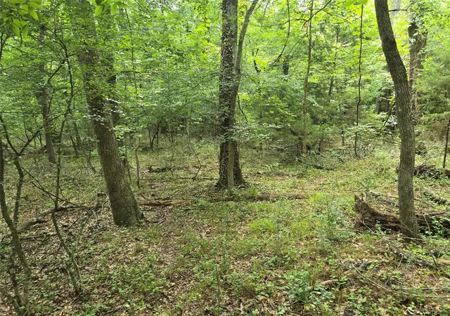 Photo 1 of Land for sale at 9999 County Road 2304, Quinlan, TX 75474 | MLS# 21342759 | Listing updated on 2026-07-28