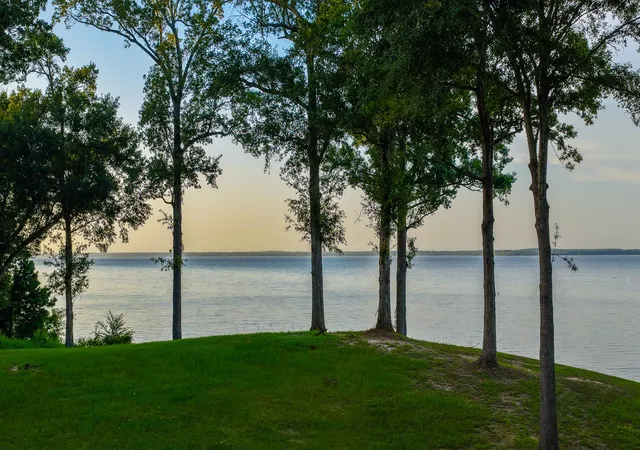 Photo 3 of Land for sale at 179 County Road 2790, Shelbyville, TX 75973 | MLS# 21343121 | Listing updated on 2026-08-24