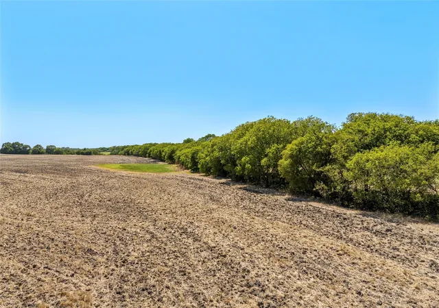 3rd image of Tbd +/- 12 Acres T M West Pkwy, West, TX 76691 | MLS# 21336926