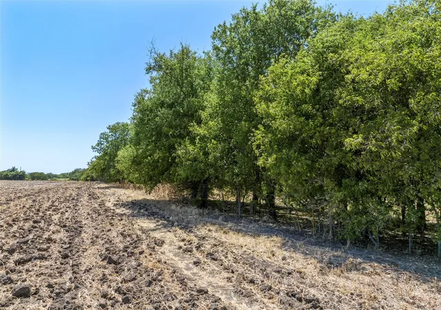 5th image of Tbd +/- 12 Acres T M West Pkwy, West, TX 76691 | MLS# 21336926