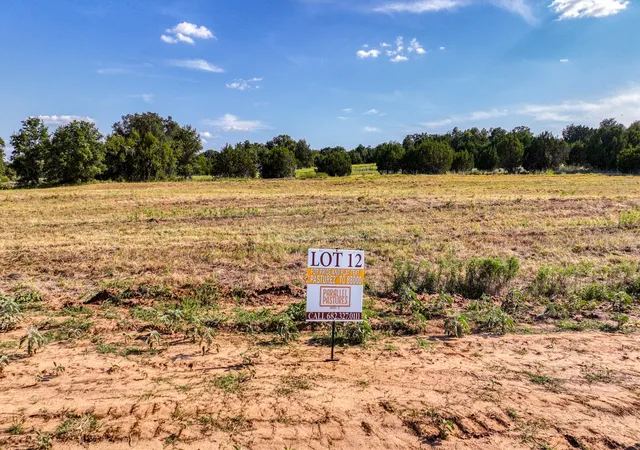 10th image of Lot 12 Three Quarter Loop, Poolville, TX 76487 | MLS# 21343460