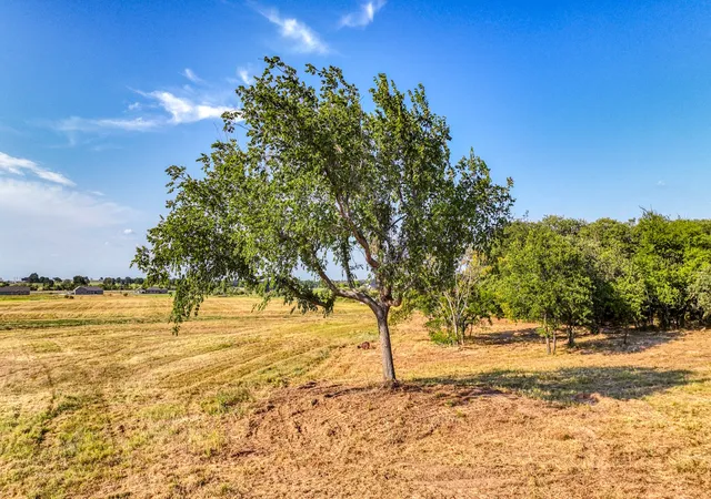 3rd image of Lot 12 Three Quarter Loop, Poolville, TX 76487 | MLS# 21343460