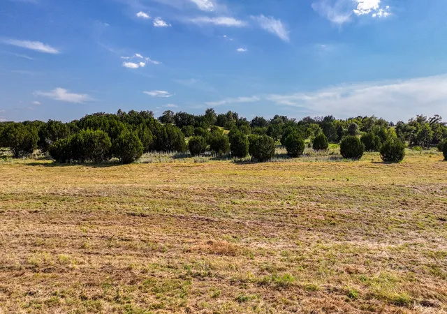 5th image of Lot 12 Three Quarter Loop, Poolville, TX 76487 | MLS# 21343460