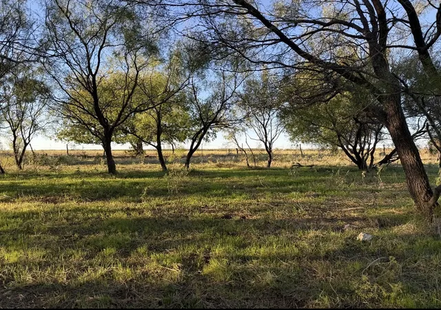 Photo 3 of Sale Pending at 2241 Schlegel Rd, Olney, TX 76374 | MLS# 21343946 | Listing updated on 2026-10-07