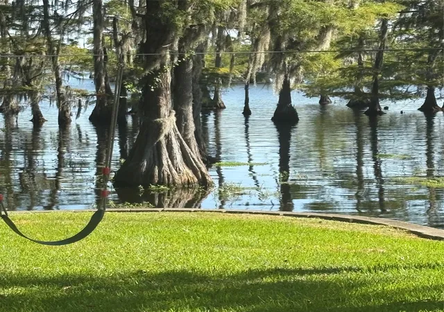 6th image of 459 Dollie Moore Rd, Ringgold, LA 71068 | MLS# 21344113