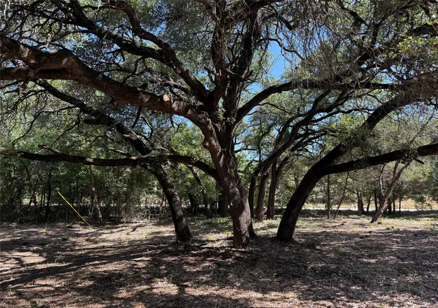 Photo 4 of Land for sale at 279 Cr 2440, Iredell, TX 76649 | MLS# 21344212 | Listing updated on 2026-10-05