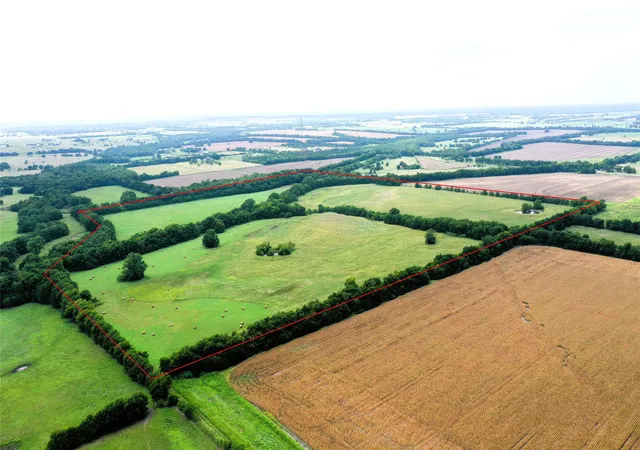 Photo 2 of Sale Pending at Tbd Cr 1055 Rd, Celeste, TX 75423 | MLS# 21344861 | Listing updated on 2026-08-31
