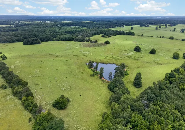 4th image of 17956 N State Hwy 110 N N, Troup, TX 75789 | MLS# 21344692