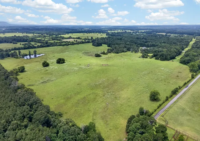 5th image of 17956 N State Hwy 110 N N, Troup, TX 75789 | MLS# 21344692