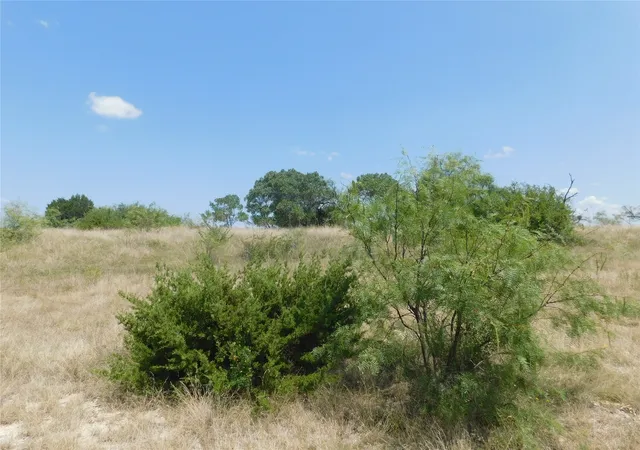 Photo 3 of Land for sale at 178 Twisted Creek Dr, Gustine, TX 76455 | MLS# 21343871 | Listing updated on 2026-08-14