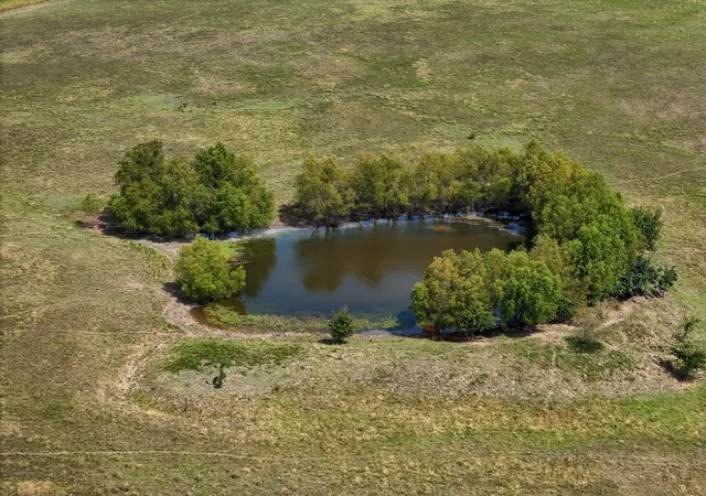 Photo 3 of Land for sale at 0000 County Road 27450, Honey Grove, TX 75446 | MLS# 21345076 | Listing updated on 2026-08-03