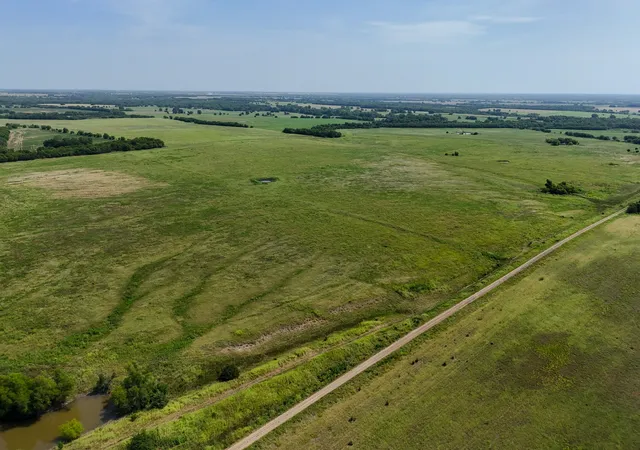Photo 4 of Land for sale at 0000 County Road 27450, Honey Grove, TX 75446 | MLS# 21345076 | Listing updated on 2026-08-03