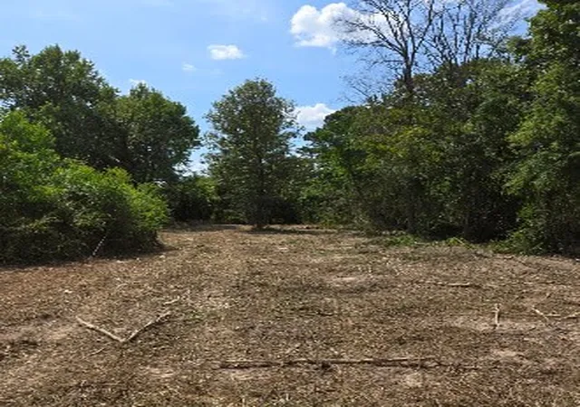 1st image of 01 Percy Burns Rd, Springhill, LA 71075 | MLS# 21345751