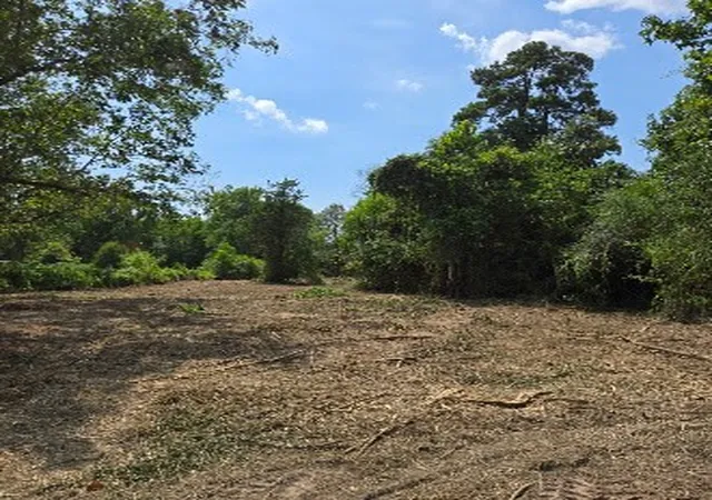 2nd image of 01 Percy Burns Rd, Springhill, LA 71075 | MLS# 21345751