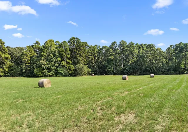 Photo 3 of House for sale at 1081 County Road 3875, Mineola, TX 75773 | MLS# 21341044 | Listing updated on 2026-09-18
