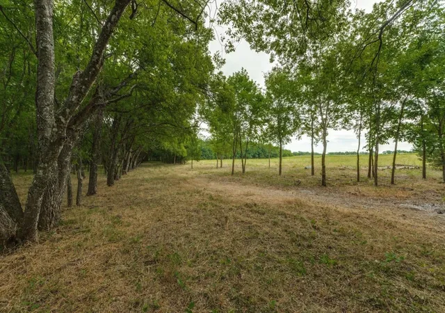 Photo 2 of Land for sale at 3805 3805 County Rd, Wolfe City, TX 75496 | MLS# 21345743 | Listing updated on 2026-08-17