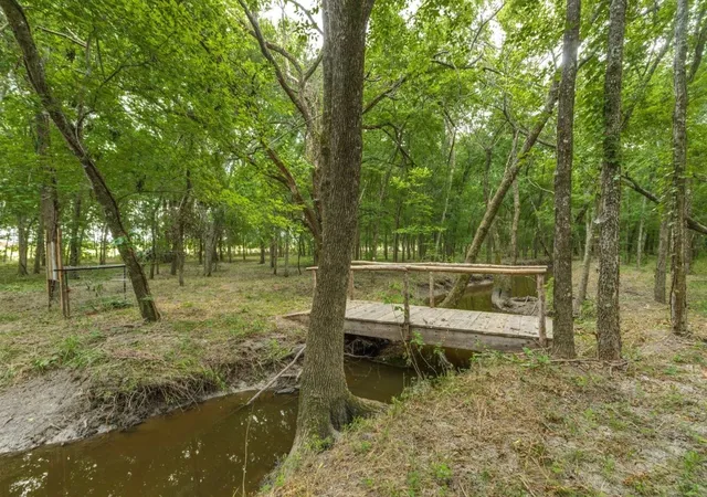 Photo 3 of Land for sale at 3805 3805 County Rd, Wolfe City, TX 75496 | MLS# 21345743 | Listing updated on 2026-08-17