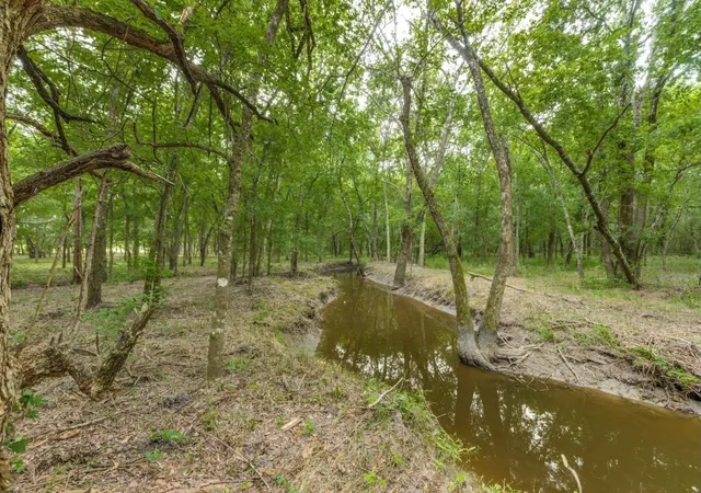 Photo 3 of Land for sale at 3805 3805 County Rd, Wolfe City, TX 75496 | MLS# 21345743 | Listing updated on 2026-08-17