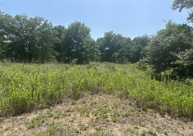Photo 3 of Land for sale at 3841 Cr #Tract 64, Hawkins, TX 75765 | MLS# 21346549 | Listing updated on 2026-08-24