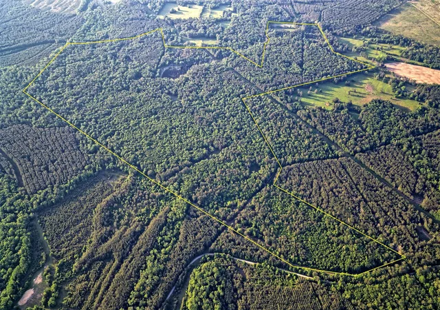 Photo 2 of Land for sale at 00 County Road 448, Carthage, TX 75633 | MLS# 21321044 | Listing updated on 2026-08-06