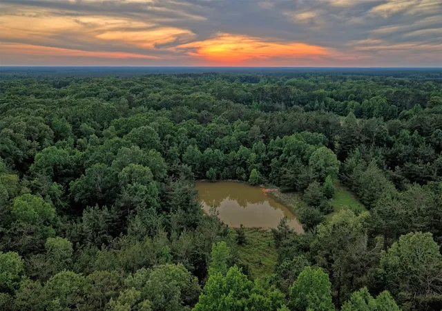 Photo 3 of Land for sale at 00 County Road 448, Carthage, TX 75633 | MLS# 21321044 | Listing updated on 2026-08-06