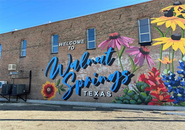 Photo 3 of Land for sale at 237 County Road 2565, Walnut Springs, TX 76690 | MLS# 21347870 | Listing updated on 2026-08-21