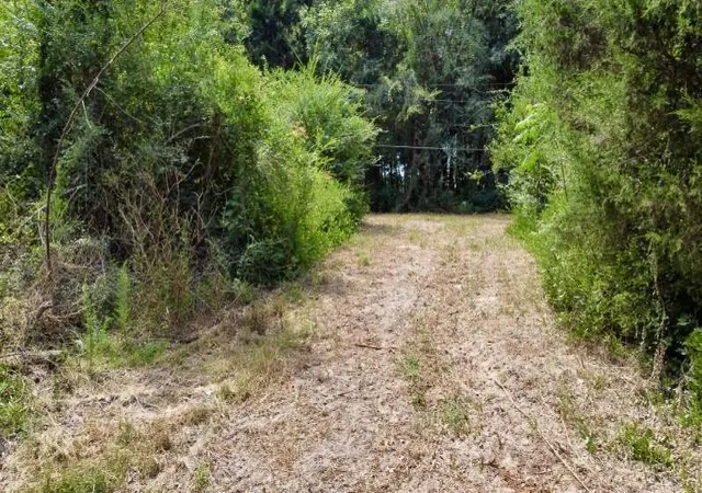 Photo 3 of Land for sale at 1317 N Main St, Linden, TX 75563 | MLS# 21348276 | Listing updated on 2026-09-18