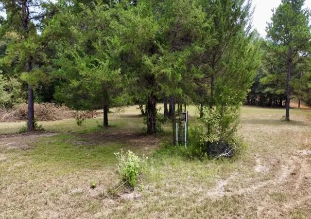 Photo 2 of Land for sale at 1317 N Main St, Linden, TX 75563 | MLS# 21348276 | Listing updated on 2026-09-18
