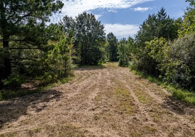 Photo 3 of Land for sale at Tbd County Road 2115, Troup, TX 75789 | MLS# 21348630 | Listing updated on 2026-08-04