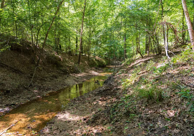 Photo 1 of Land for sale at 00 Tom Eubanks Rd, Gladewater, TX 75647 | MLS# 21348698 | Listing updated on 2026-08-04