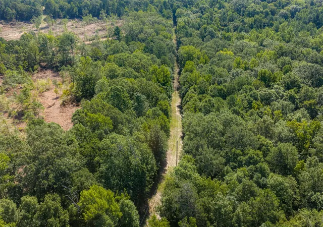 Photo 25 of Land for sale at 00 Tom Eubanks Rd, Gladewater, TX 75647 | MLS# 21348698 | Listing updated on 2026-08-04