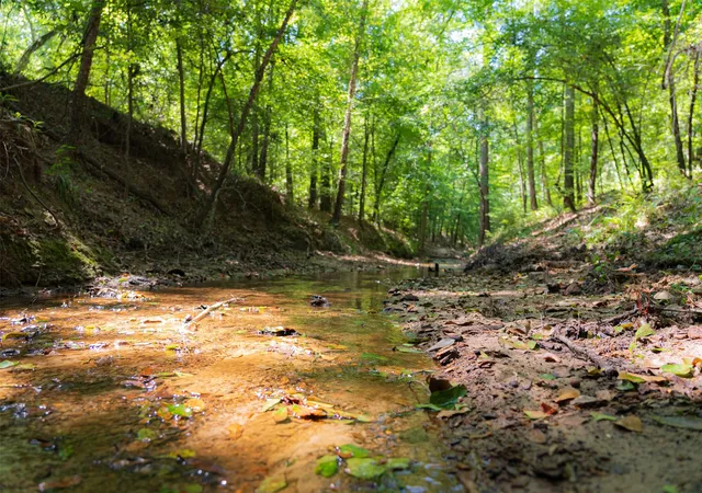 Photo 3 of Land for sale at 00 Tom Eubanks Rd, Gladewater, TX 75647 | MLS# 21348698 | Listing updated on 2026-08-04