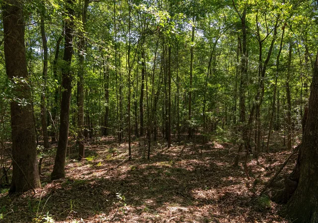 Photo 3 of Land for sale at 00 Tom Eubanks Rd, Gladewater, TX 75647 | MLS# 21348698 | Listing updated on 2026-08-04