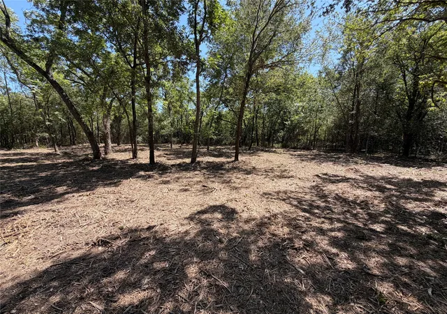 Photo 2 of Land for sale at Tbd39ac Sw Co Rd 2340, Richland, TX 76681 | MLS# 21347727 | Listing updated on 2026-08-04